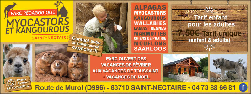 Image additionnelle de PARC PEDAGOGIQUE MYOCASTORS & KANGOUROUS - ST-NECTAIRE